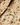 Tartines de Ciboulette - 150g