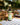 Huile d'olive vierge extra biologique aromatisée au basilic frais de Calabre 250 ml
