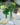 Jarre Suva en verre transparent, grande