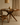 Tavolo da pranzo Marevo rotondo in legno massello di noce, Ø120x74 cm