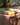 Guardanapo Monstera Cheers, Amarelo com Terracota