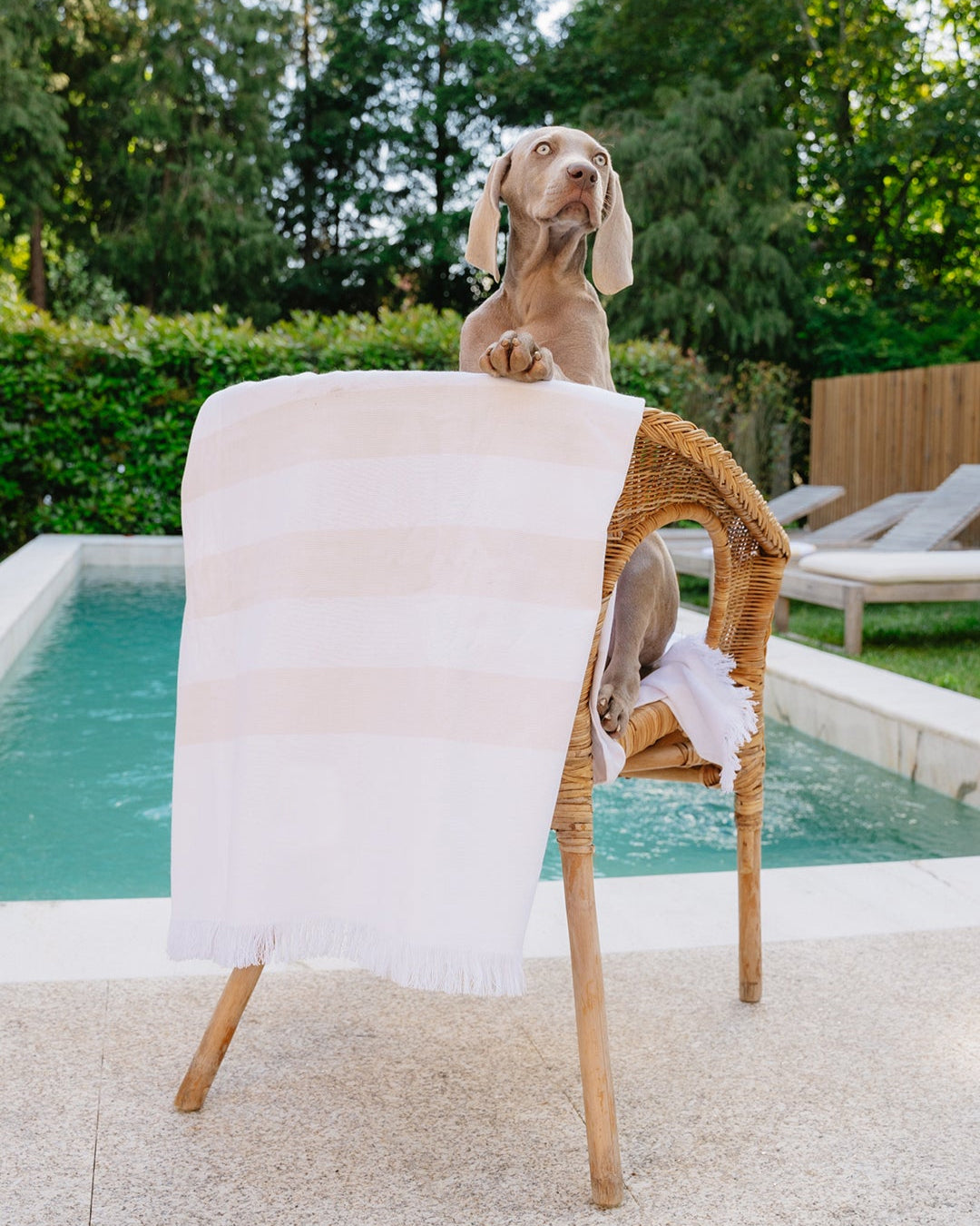 Serviette de plage en coton à rayures beige