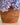 Brocca Serenità Terracotta