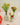 Carafe Jasmin en Verre, H : 16 cm