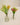 Carafe Jasmin en Verre, H : 14 cm