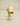 Pichet Lys en Verre, H: 10 cm