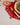 Individual Faial, Vermelho com Cru