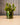 Jarre en verre, classique cylindrique, 10 cm