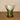 Siena Green Glass Cup