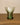 Siena Green Glass Cup