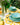 Assiette de Soupe Judite Turquoise
