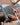 Livre Yeux Uniquement - Voitures Classiques