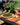 Placemat Évora, Terracotta with Yellow