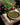 Placemat Évora, Green with Green