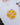 Base de verre/pain Daisy, jaune